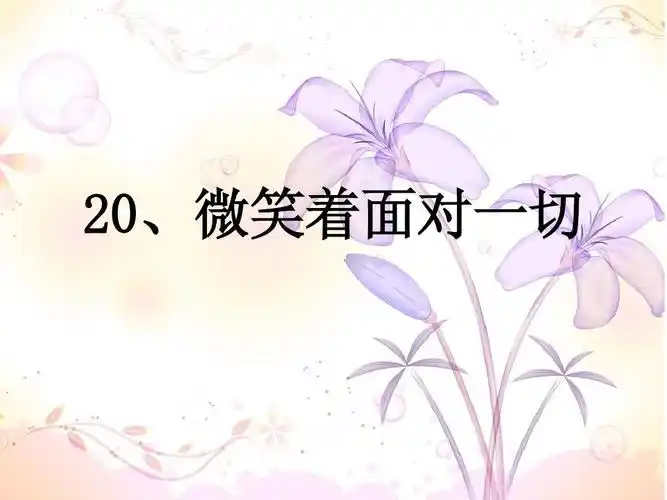 《微笑着面对一切》课件ppt