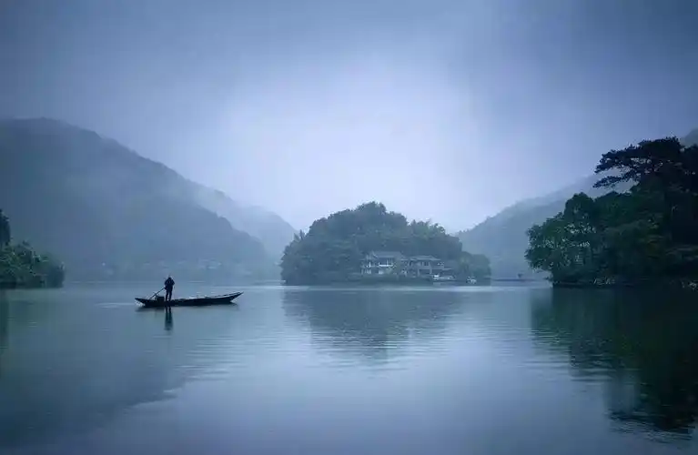 梧桐小筑,一幅静静舒展的水墨画卷