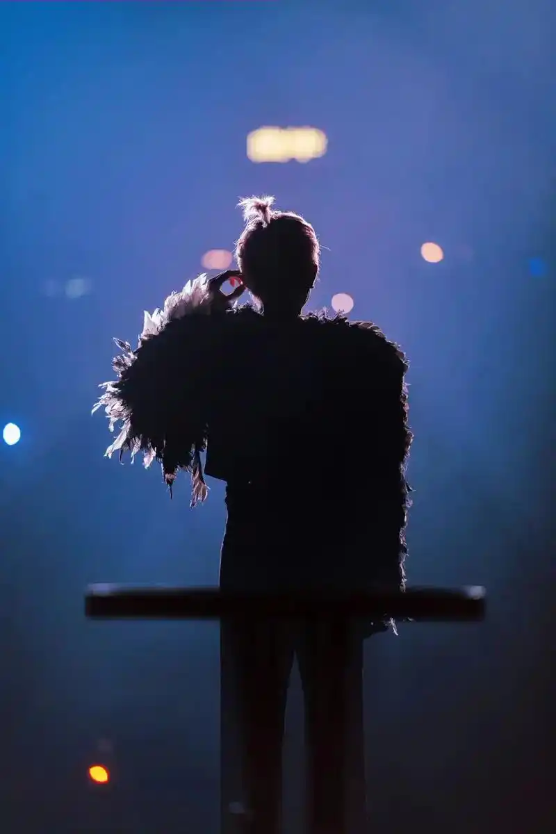 背影#王源客厅狂欢巡回演唱会 #分享照片 #演唱会 - 抖音