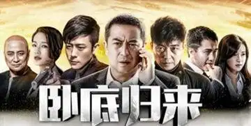 卧底归来2卧底归来2为什么不拍了