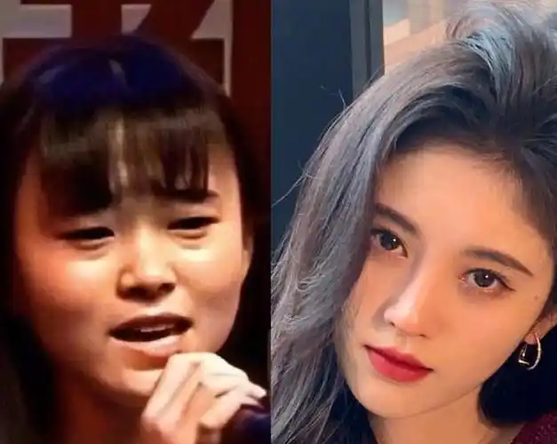 哪些明星整过容(哪些明星整过容对比图)-天晟网