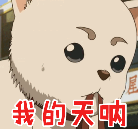 你永远不知道它下一步会做什么!银魂定春表情包大合集!