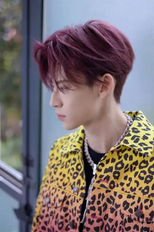 小鬼王琳凯粉黄豹纹夹克时尚酷帅写真图片