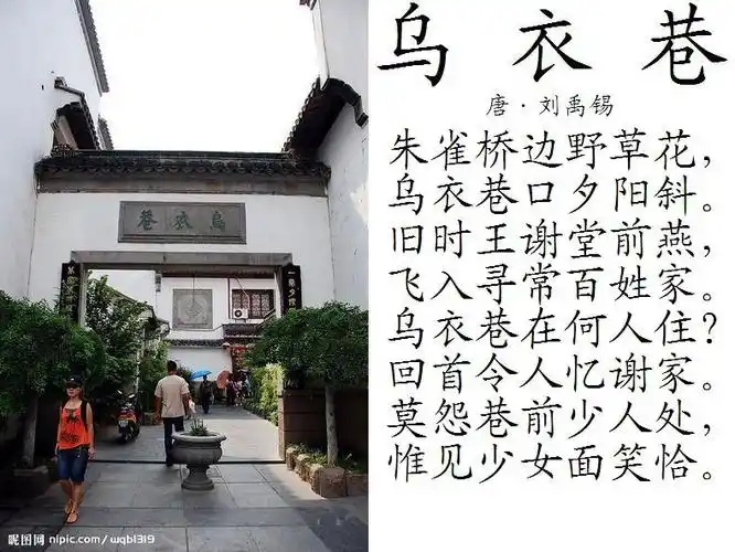 请对其中的桥表现出的诗意进行简要的赏析.