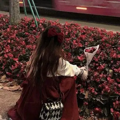 女头/在这风华正茂的年纪里,我一定要成为玫瑰吗?