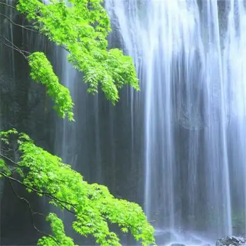 唯美小清新风景头像