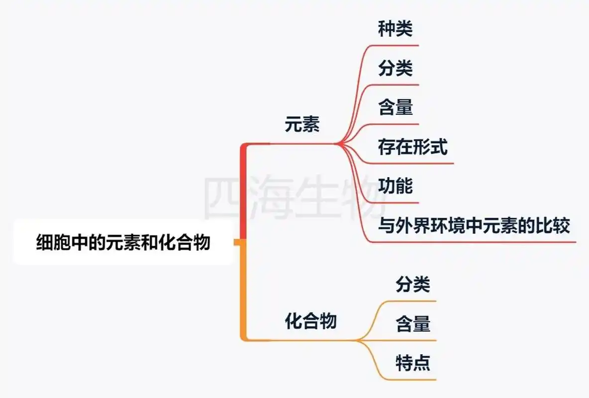 思维导图学生物!