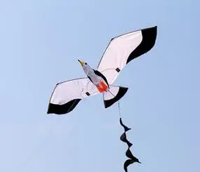 潍坊风筝海鸥