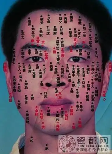 男相痣图解大全 男人痣的位置与命运图解