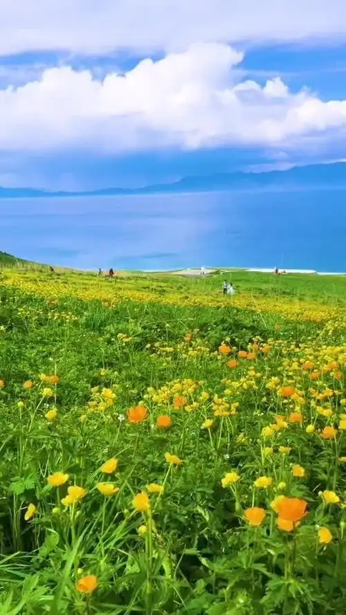 愿今天的你心情明朗,充满活力