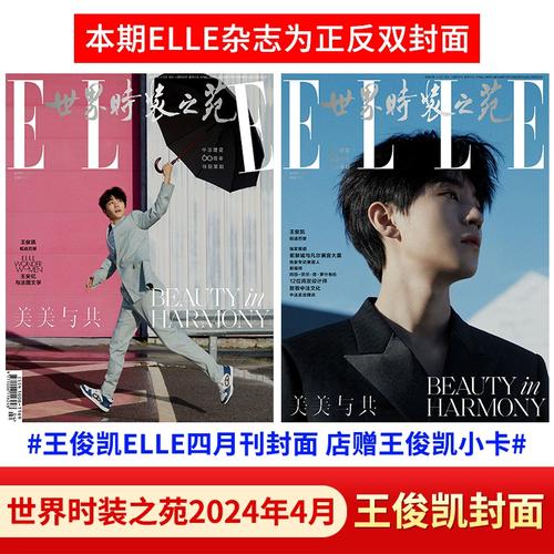 elle世界时装之苑杂志2024年4月刊 /睿士杂志2021年1月王俊凯封面