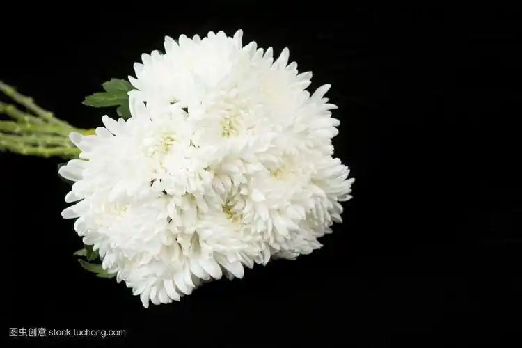 《肇东诗联》微刊第58期 肇东市诗联艺术家协会