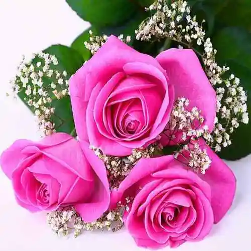 幸运花229608435头像