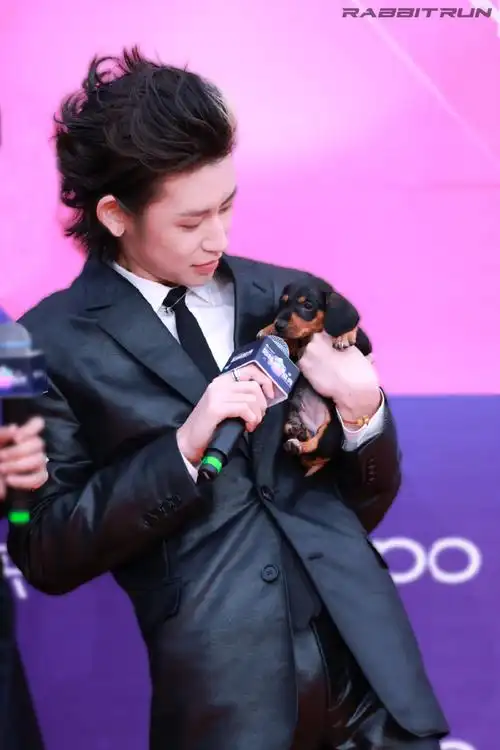 小鬼抱朋克小狗走红毯##小鬼红毯上遛狗