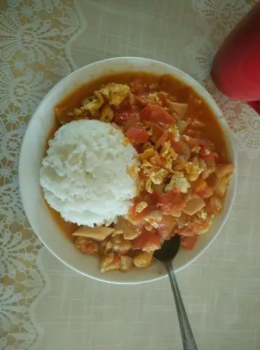 一个人的午餐——西红柿鸡蛋盖饭