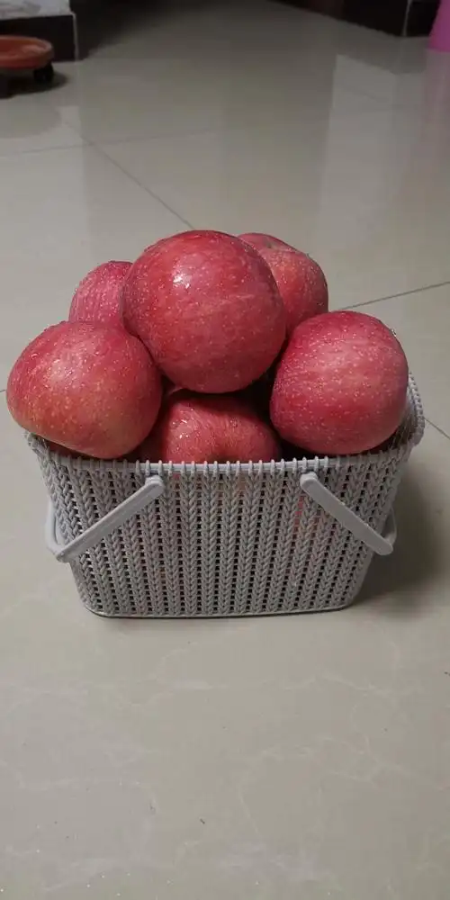 淘吕洞宾农产品红富士苹果实拍