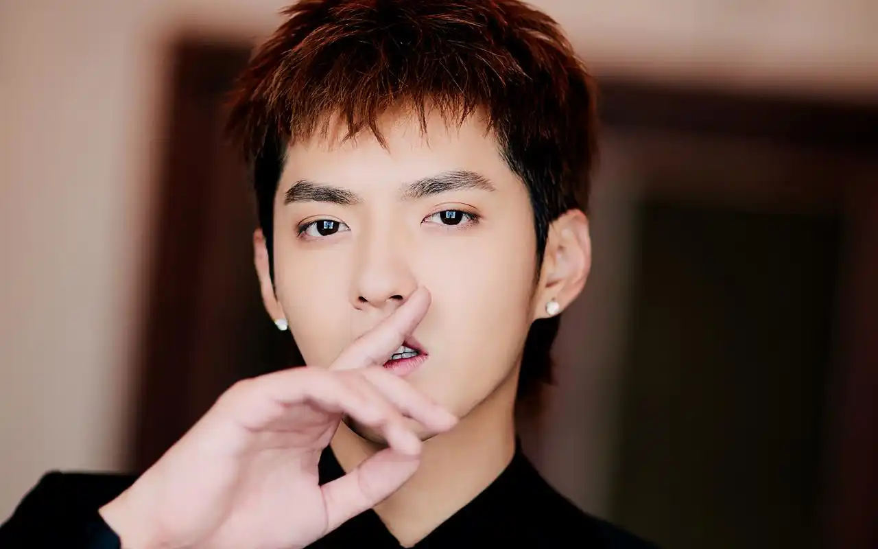 吴亦凡明星歌手帅哥写真高清 简介 吴亦凡