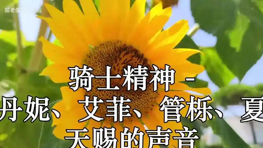 骑士精神(live) - 李斯丹妮,艾菲,管栎,夏瀚宇 天赐的声音 高品质原版