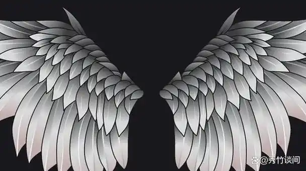 在漫画,动画或者游戏中,我们经常看到各种各样的角色拥有炫酷的翅膀.