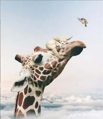 「ps创意」这些脑洞大开的合成照片,创意无限!