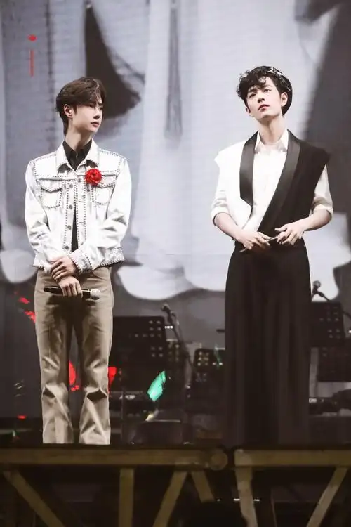 博君一肖肖战王一博陈情令国风演唱会