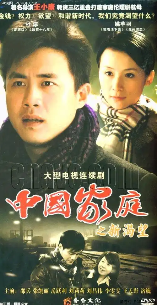 媳妇儿受追捧2010年十大热门电视剧