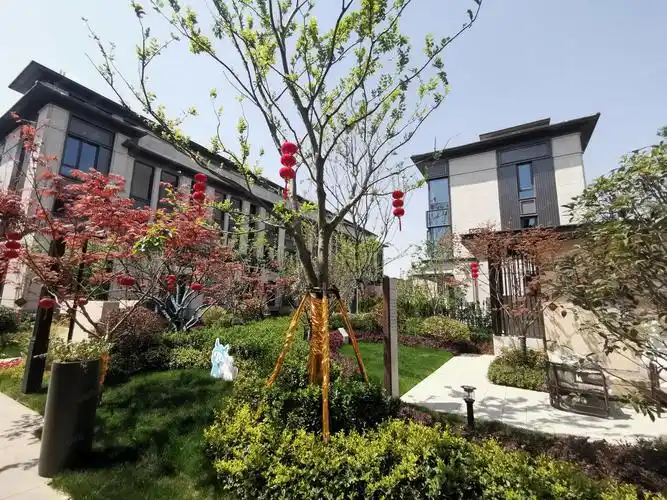 龙湖丽丰西宸原著别墅