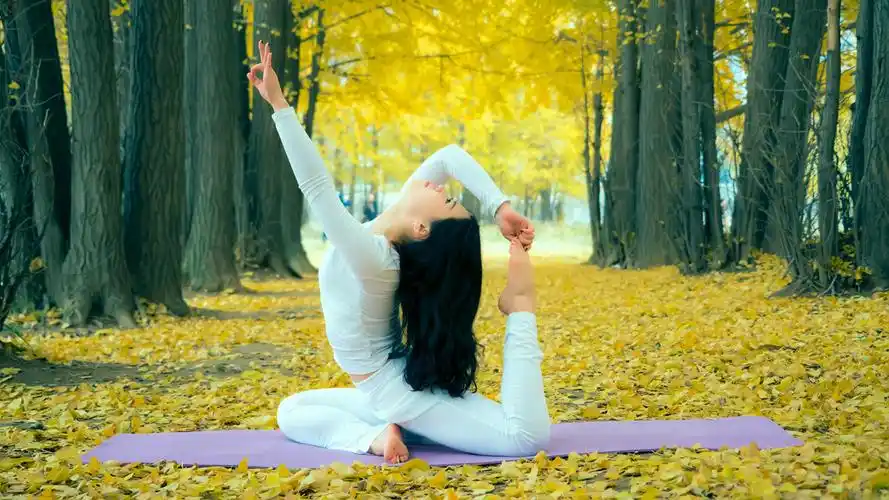 图片很黄很暴力一纯正的瑜伽女孩