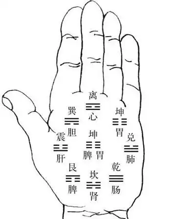 手掌的八卦宫位图