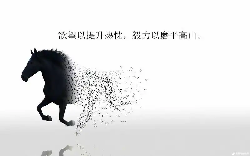 失败乃成功之母峩就是太阳何须凭借谁的光不努力,拿什么说明天夫妇