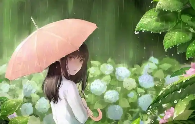 动漫美图:下雨天里的撑伞少女,二次元唯美图片欣赏