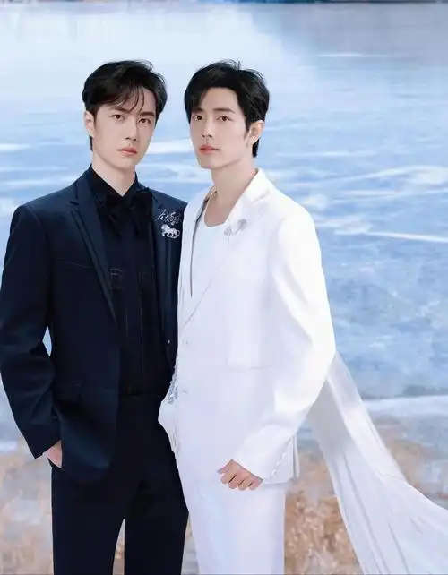 《陈情令》如同一颗璀璨的星辰闪烁夜空,观众有幸结缘肖战和一博两位