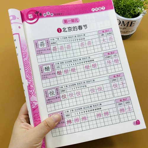 字帖手写体生字描红临摹田字格写字练习6年级笔画笔顺结构拼音组词