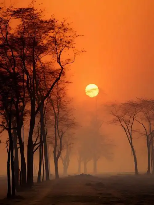 朋友圈分享##朋友圈文案##文案##朋友圈背景图##晚霞##日落文案