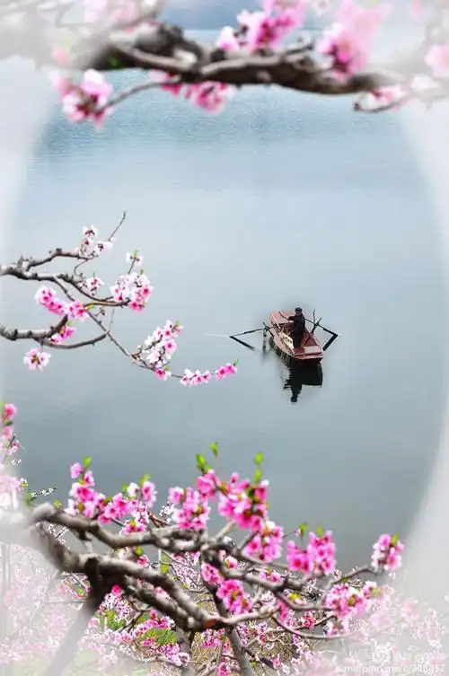 烟雨桃花醉清风