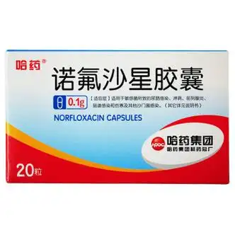 哈药诺氟沙星胶囊01g20粒3盒