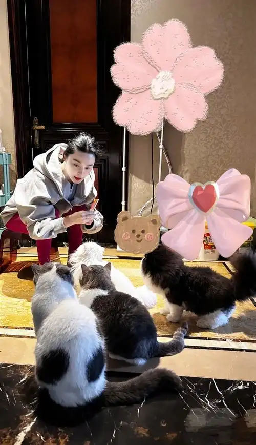 主演电影大卖,范丞丞频被造谣是范冰冰洪金宝的儿子,公关征集证据准备