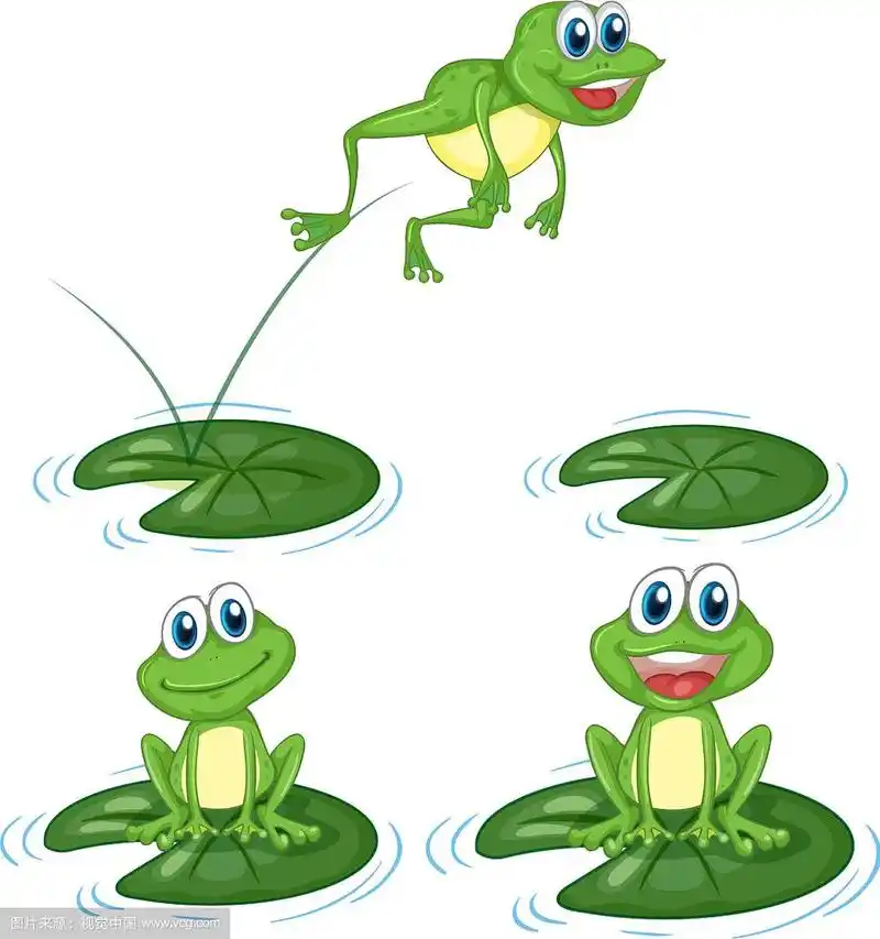 绿色的青蛙在睡莲的叶子上跳跃