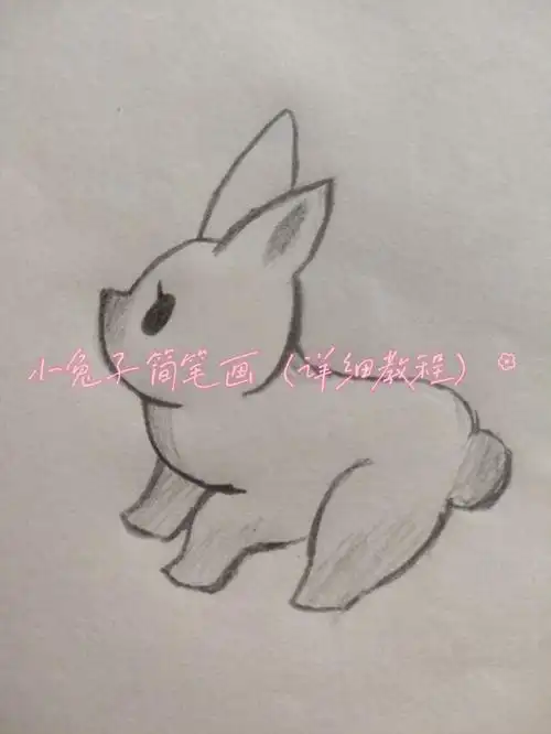 小兔子简笔画详细教程