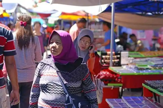 600万马来西亚华人前途未卜,贡献大部分税收,仍是"二等公民"|马华|大