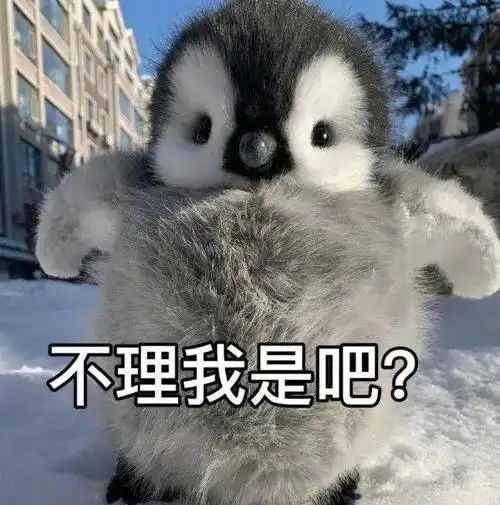 沙雕可爱表情包动图 拿图请顺便吱一声 很难有动力发图了__财经头条