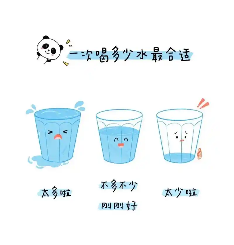 幼儿园一日流程——喝水95|素材可打印 7915一次喝多少水合适
