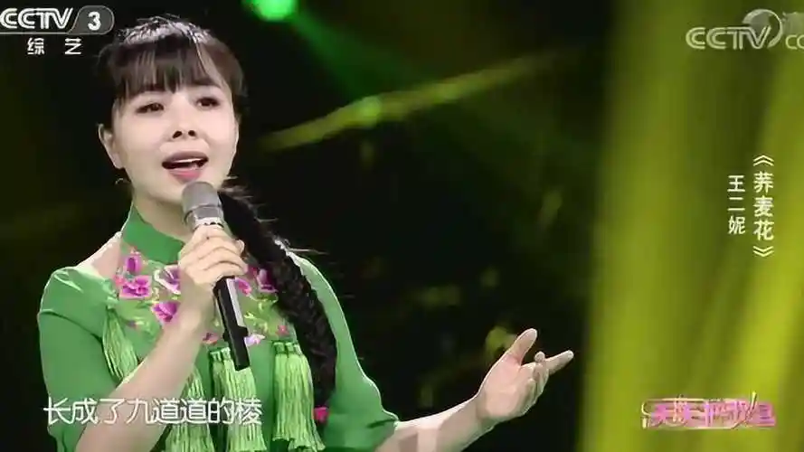 歌曲《荞麦花》,演唱:王二妮,唱的有味,越听越喜欢