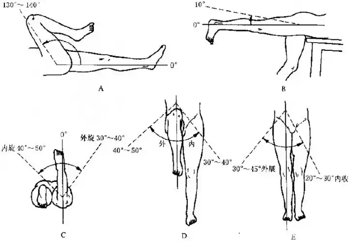 骨科基础人体关节正常活动范围汇总