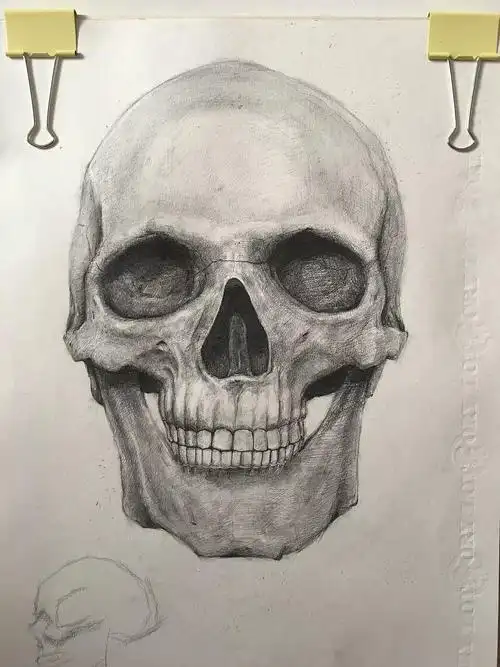 骷髅铅笔素描