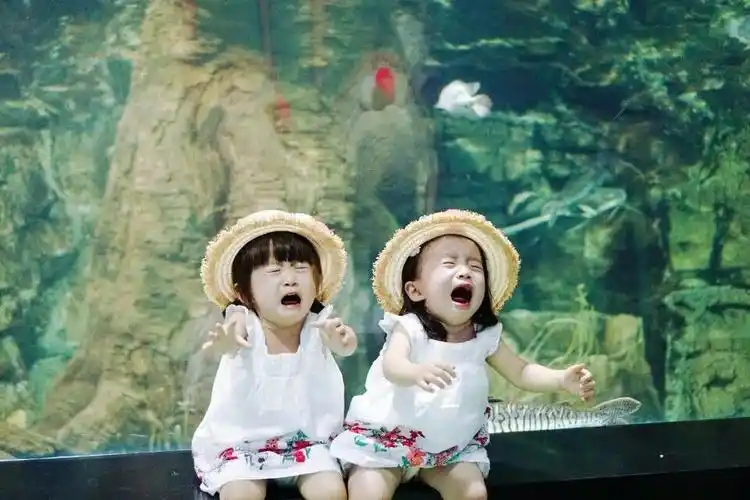 火爆朋友圈的双胞胎姐妹,画风不要太萌,网友称:这次