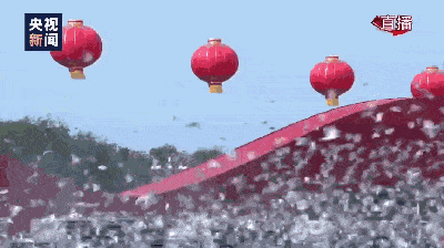 已经陆续有网友在报平安,表示自家的小鸽子已经到家;但也有一些小迷糊