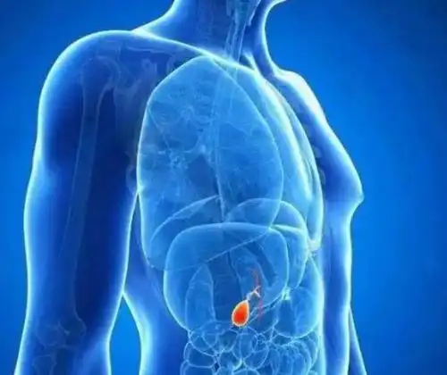 【知识点归纳】2021年外科主治医师考试胆道感染考点(1)