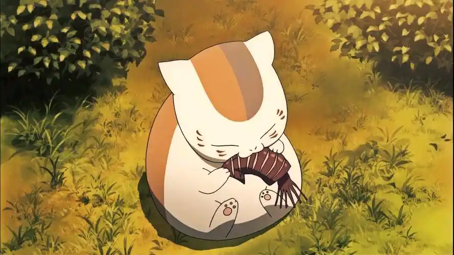 动漫如果夏目不在了猫咪老师会怎么样呢