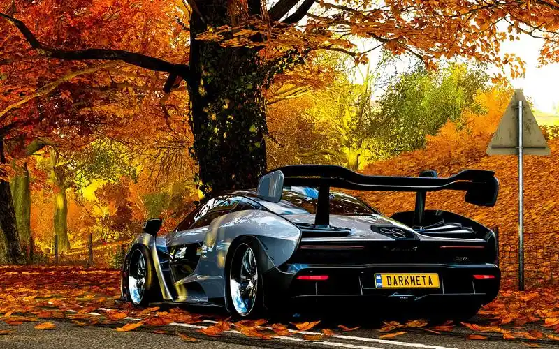 【地平线4】在日落前来一场雨中狂飙吧,迈凯伦塞纳环岛